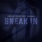 Sneak in (feat. Vinicius Trezze) [Zouk Remix] - Rafa Zoukman lyrics