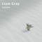Leven - Liam Gray lyrics