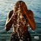 Should've Known (feat. Smino & Cedxric) - Buddy lyrics