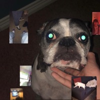 Febreeze (feat. Floral & Skawt) - Single - kiernann