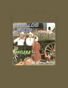 Ascolta Los Gallos Reales De Michoacán, guarda video musicali, leggi la biografia, vedi le date del tour & altro!