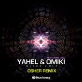 Black Hole (feat. Liya) [Osher Remix] artwork