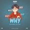 Why (feat. Kizzer) - Lacosty Beatz lyrics