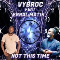 Not This Time (feat. Erral Matik) - Single - Vybroc