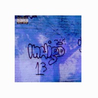 Indigo 13 - Indigo 13