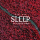 Sleep : A Contemplative Journey artwork