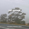 Can't Guarantee (feat. Brock) - Single