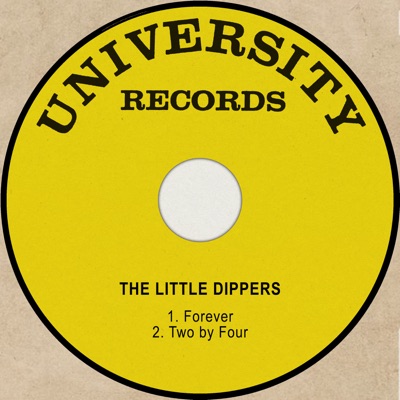 Meaning of Forever by The Little Dippers
