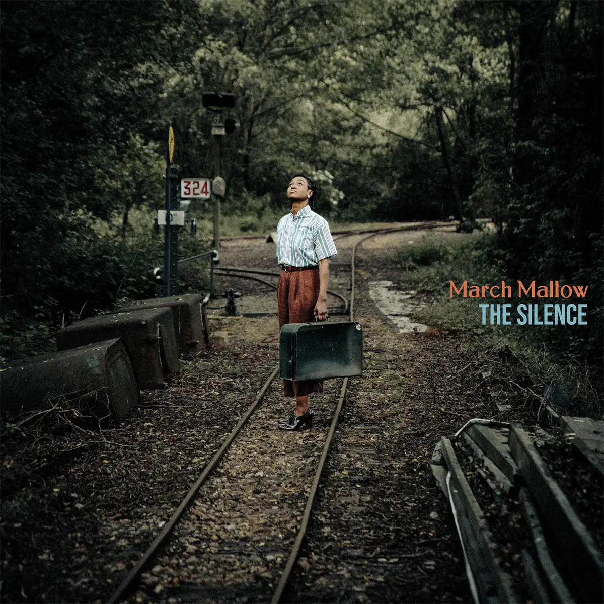 March Mallow - The Silence (2024) [iTunes Plus AAC M4A]-新房子