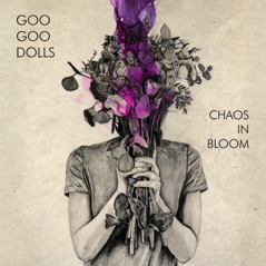 Chaos In Bloom