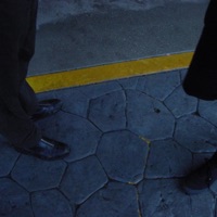 Surface - Single - polar & tigerstar