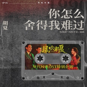 你怎麼捨得我難過 (《風吹半夏》年代經典OST特別企劃) - Single