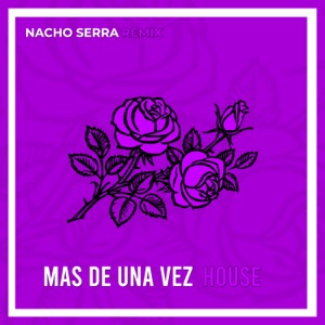 Mas de una Vez (House) [Remix]