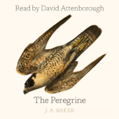 The Peregrine - J. A. Baker Cover Art