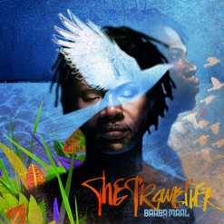 THE TRAVELLER cover art