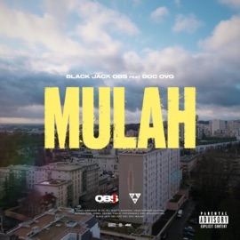 Mulah (feat. DOC OVG) Black Jack OBS