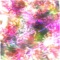 Fly (feat. Sowre) [Amauge X Sowre Remix] - Amauge King lyrics