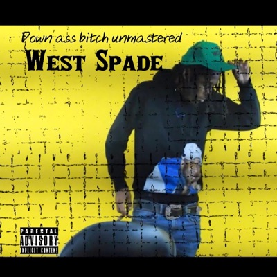 Down Ass Bitch(unmastered) - Single