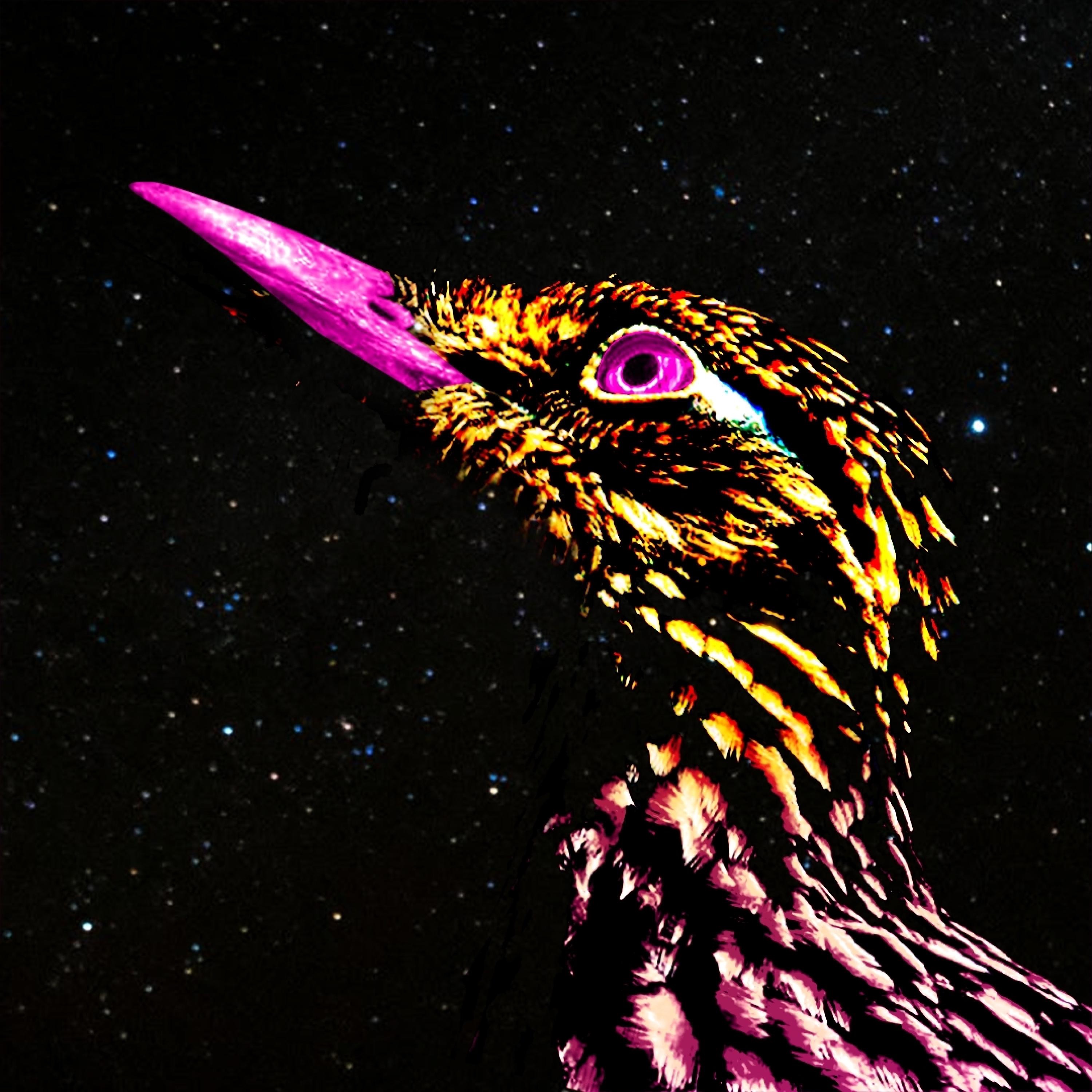 Road Runner - Single