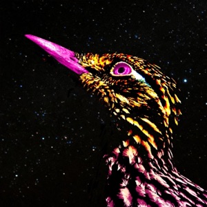 Road Runner - Single
