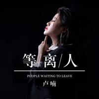 等离人 (DJ沈念版) - Single - 卢喃