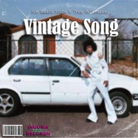 Vintage Song - Single - Ice Beats Slide & Troy willmake