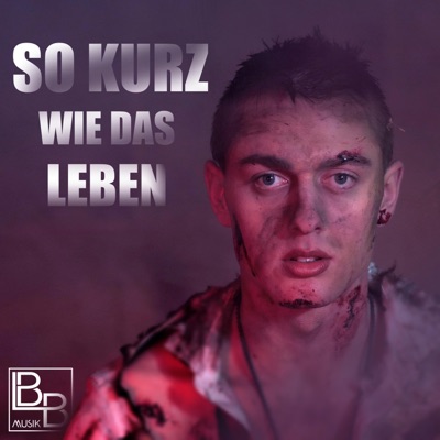 SO KURZ WIE DAS LEBEN (feat. Sophia Bächlin & MVRTIN) - Single