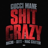 Shit Crazy (Remix) [feat. BIG30, Mac Critter & Sett] artwork