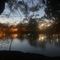 Chills - Single - Dcmplts