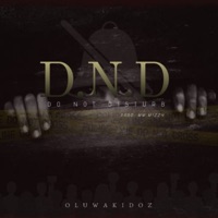 DND - Single - Oluwakidoz