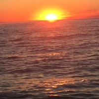 Ocean (Solo) / Betrayed - Single - Tending Bike