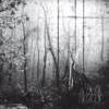 Unknown Transmission cover art