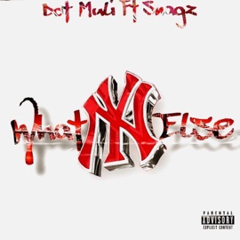 What Else (feat. Snagz) Dot Muli