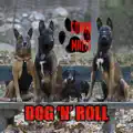 Dog n' Roll