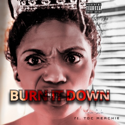 Burn It Down (feat. TDC MEACHIE) - Single