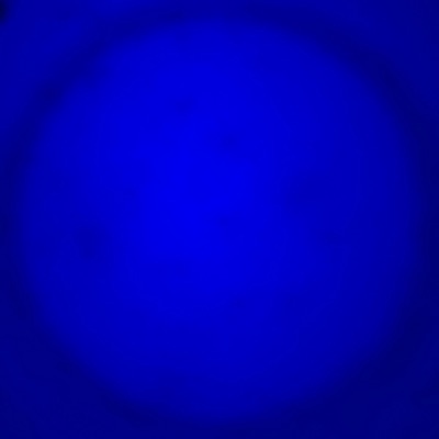 Without you (feat. Cigcjacc & 333cway) - Single