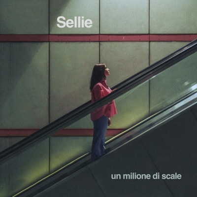 Un milione di scale - Sellie