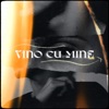 Vino Cu Mine (feat. Radu Dima) [Remix] - Single