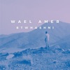 Wael Amer - وائل عامر - بتوحشنى