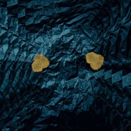 2 ляпка Kronos & Лихий