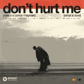 Don't Hurt Me (What Is Love) artwork