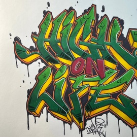 High On Life (feat. Throwed Genji) RikaShae