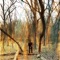 Forbidden Love - Jeffrey Hicks lyrics