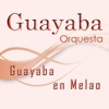 Guayaba en Melao