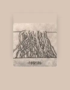 聆聽 Angry Son、觀看音樂影片、閱讀小傳、查看巡演日期等！