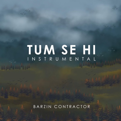 Tum Se Hi (Instrumental) - Single