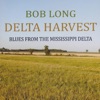 Bob Long - Milkcow's Calf