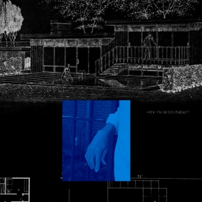 U Are Black .... Dam ! - Single