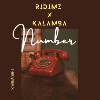 Number (feat. Ridimz) [2011] - Single - KALAMBA