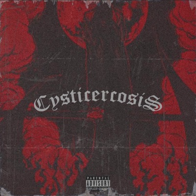 Cysticerrosis - Single